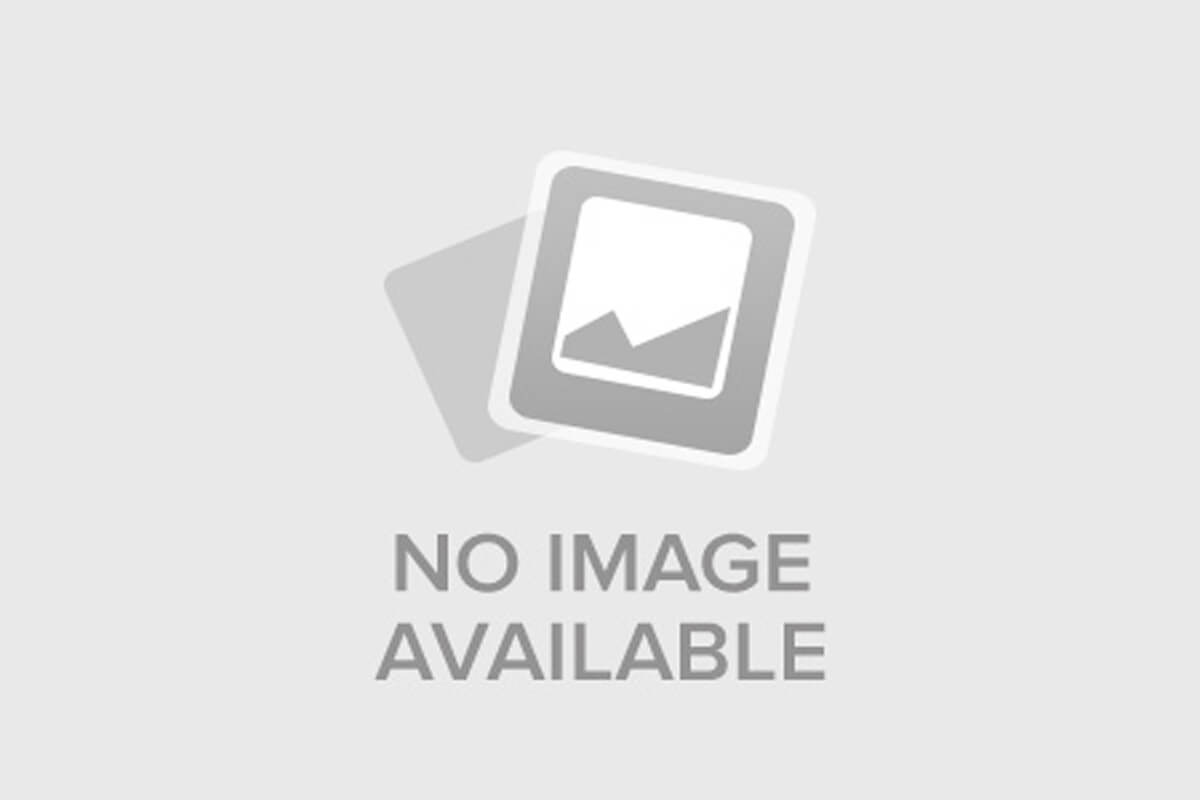 Долина надежды: 1874